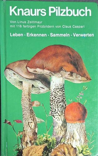 Pilze selbstgesammelt - pilze,