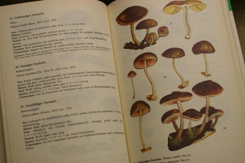 Handbuch pilzfreunde band - pilzfreunde, 3