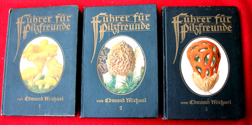 28131 edmund michael - 28131, führer