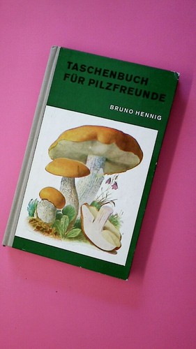 159314 bruno hennig - bruno,